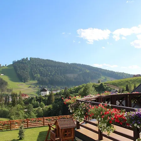 Hotel Ruta Polianytsia *