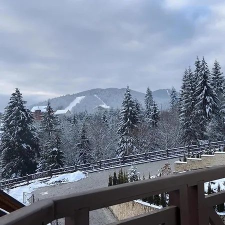 Hotel Ruta Polianytsia *